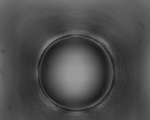 X0000091001280200708021553