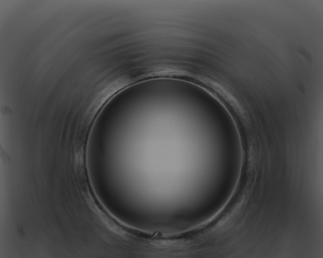 X0000091001281200708021553
