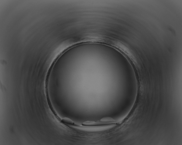 X0000091001283200708021553