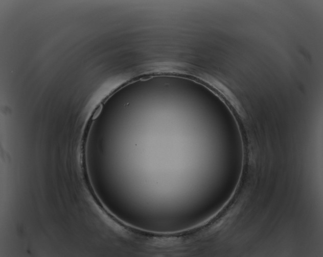 X0000091001285200708021553