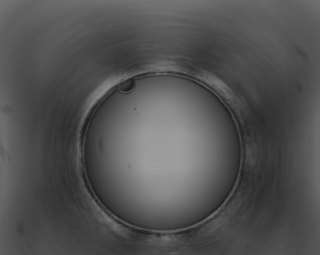 X0000091001286200708021553