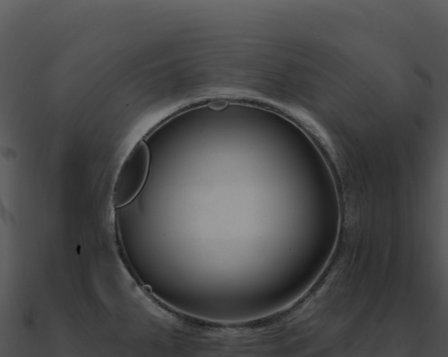 X0000091001287200708021553