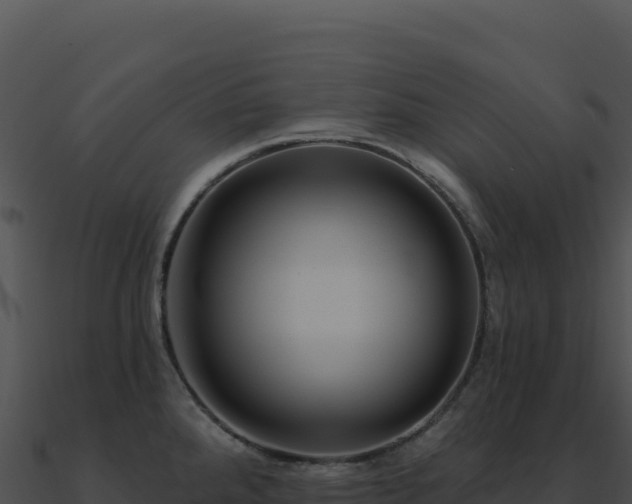 X0000091001288200708021553