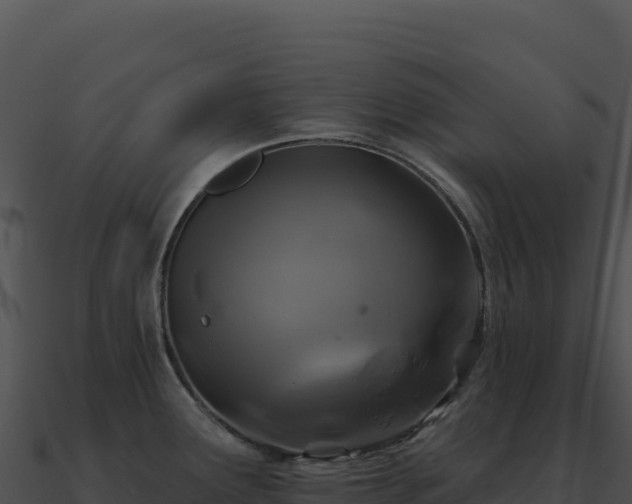 X0000091001291200708021553