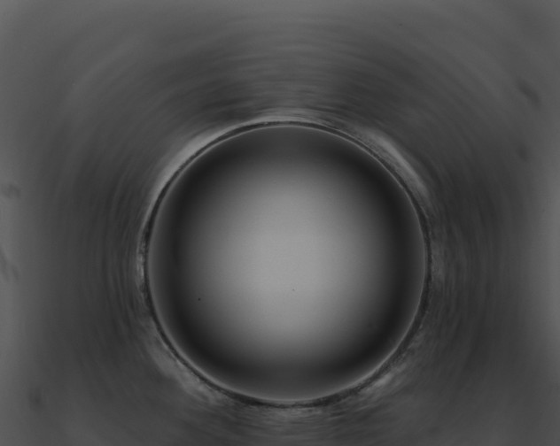 X0000091001292200708021552