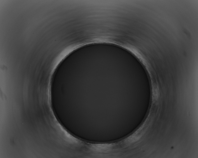 X0000091001294200708021552