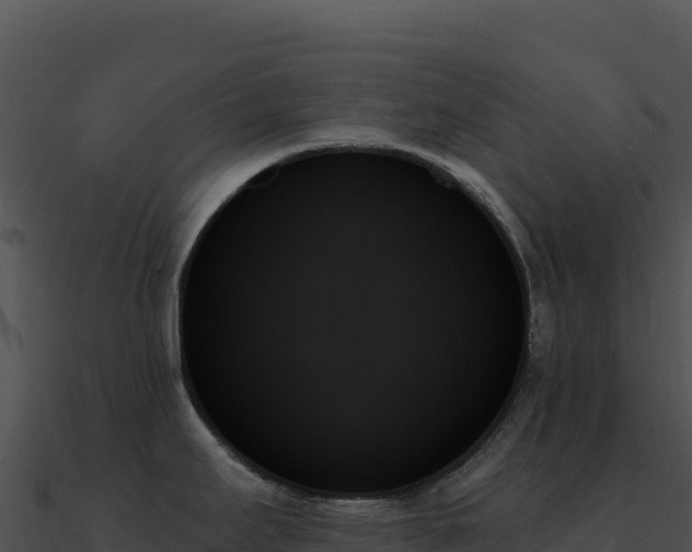 X0000091001295200708021552