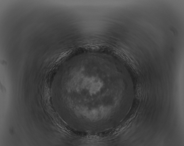 X0000091001297200708021552