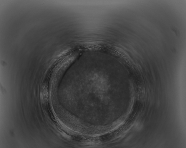 X0000091001298200708021552