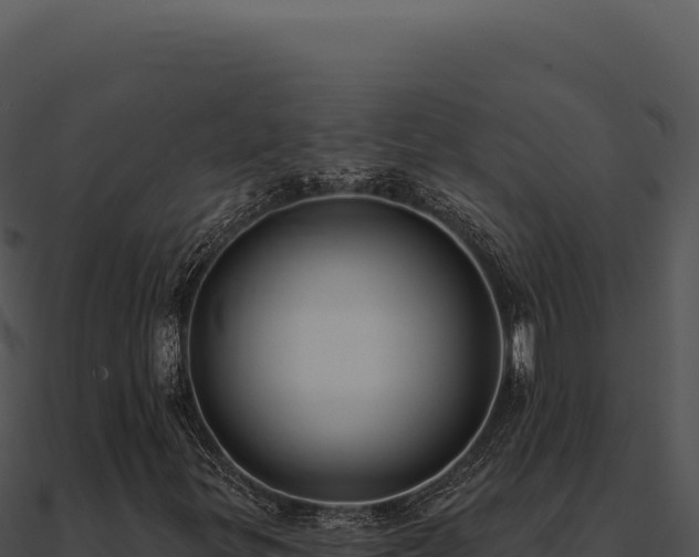 X0000091001299200708021552