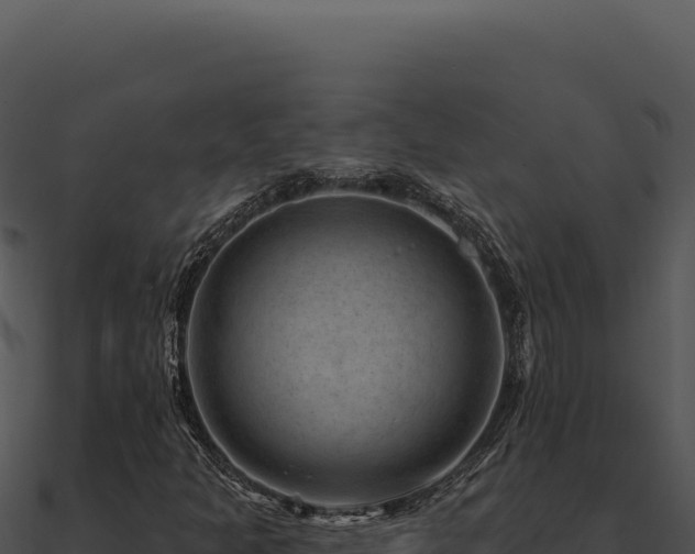 X0000091001301200708021552
