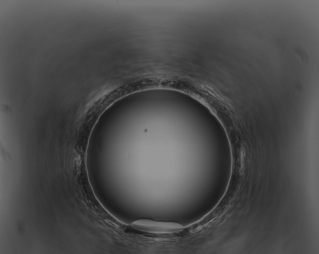 X0000091001302200708021552