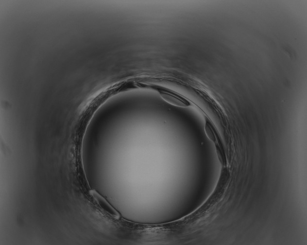 X0000091001304200708021552