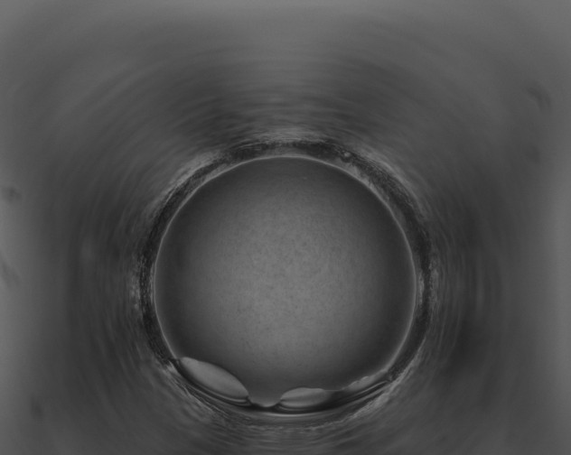 X0000091001305200708021552