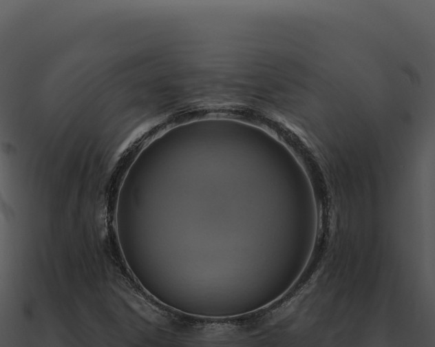 X0000091001306200708021552