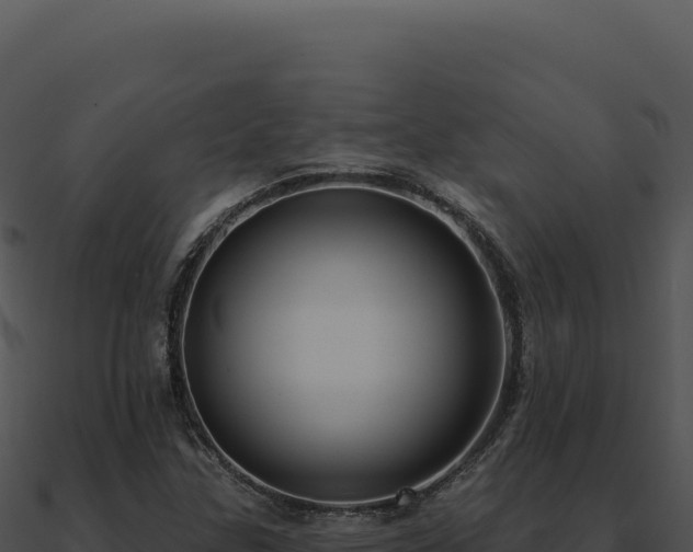 X0000091001307200708021552