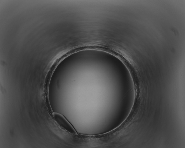 X0000091001308200708021552