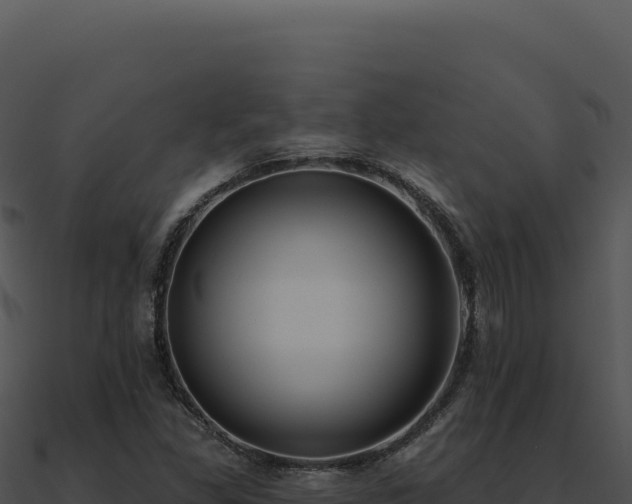 X0000091001309200708021552