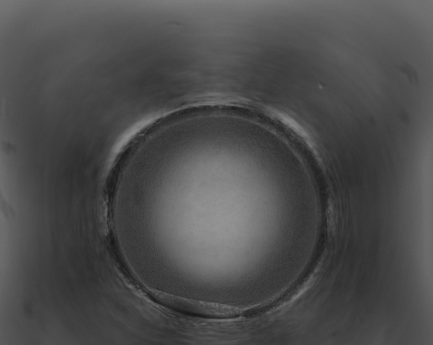X0000091001310200708021552