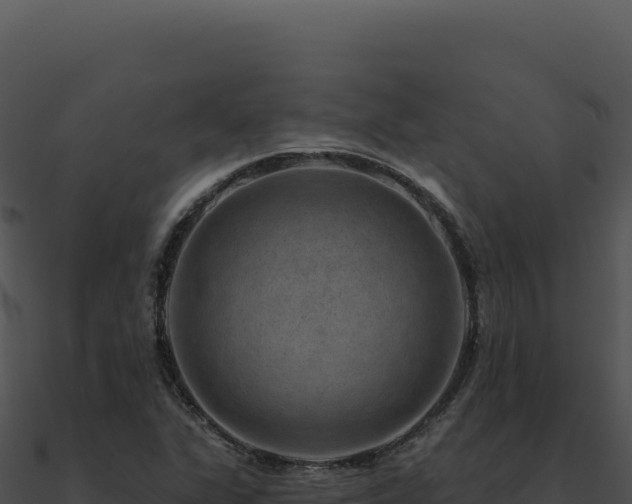 X0000091001311200708021552