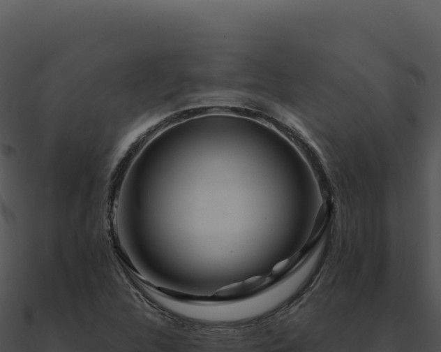 X0000091001312200708021552