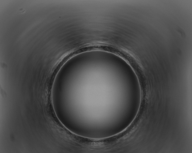 X0000091001313200708021552