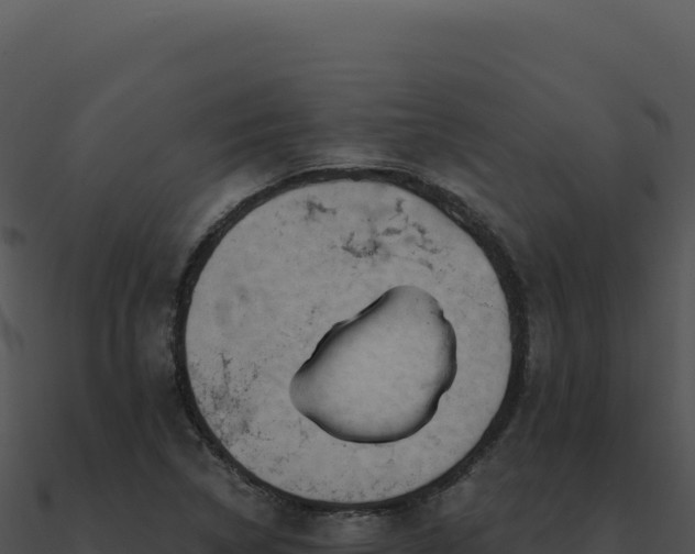 X0000091001314200708021552
