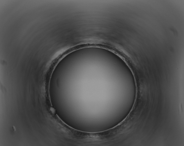 X0000091001315200708021552