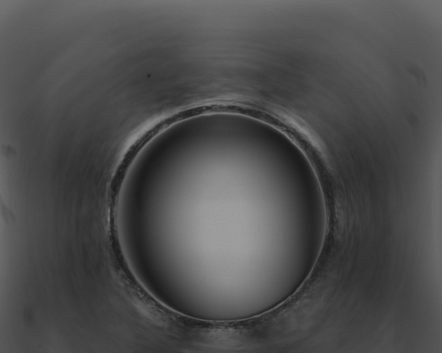 X0000091001316200708021552