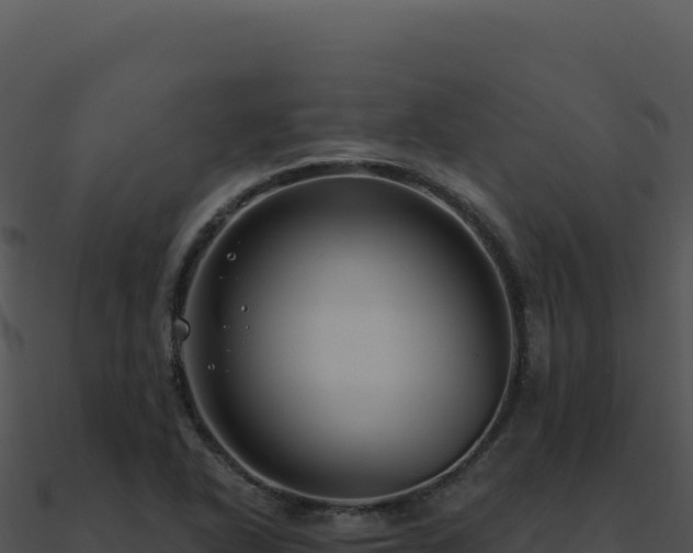 X0000091001318200708021552