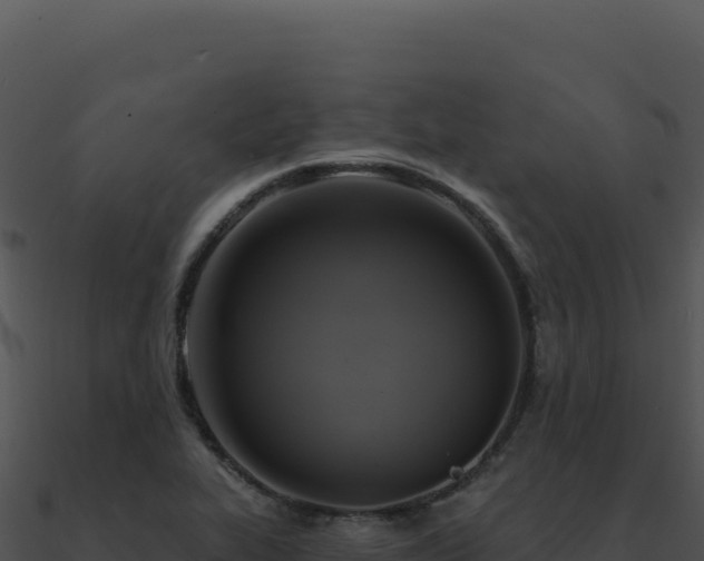 X0000091001319200708021552
