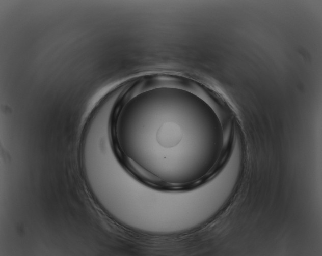 X0000091001320200708021552