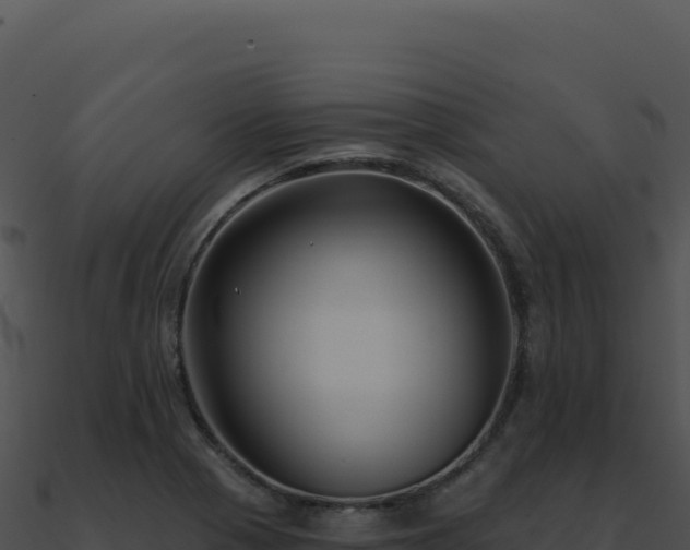 X0000091001321200708021552