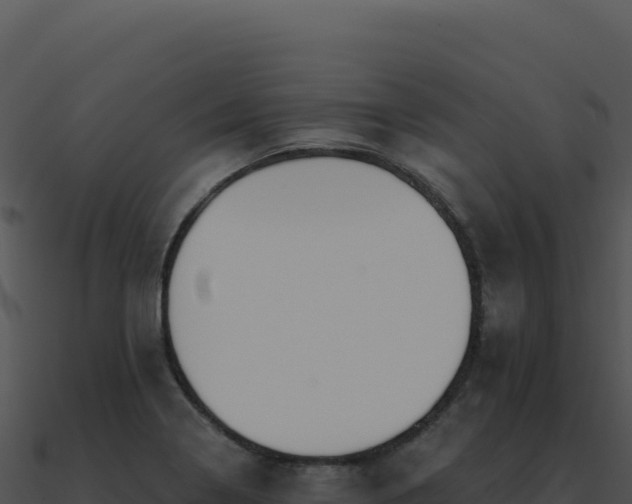 X0000091001322200708021552