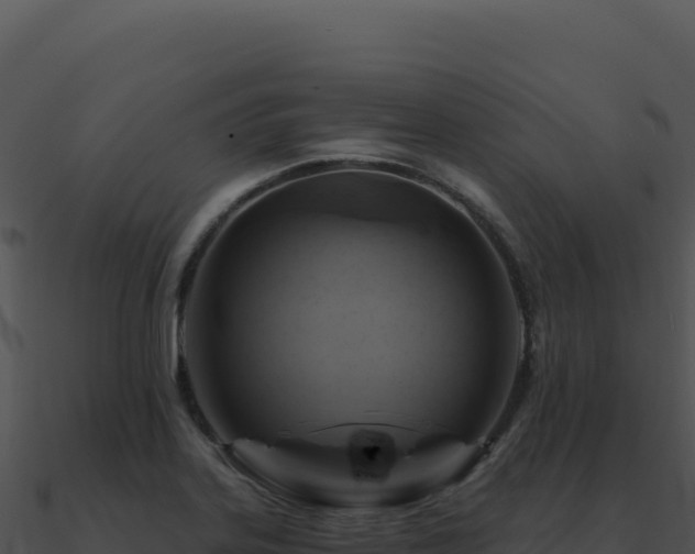 X0000091001323200708021552