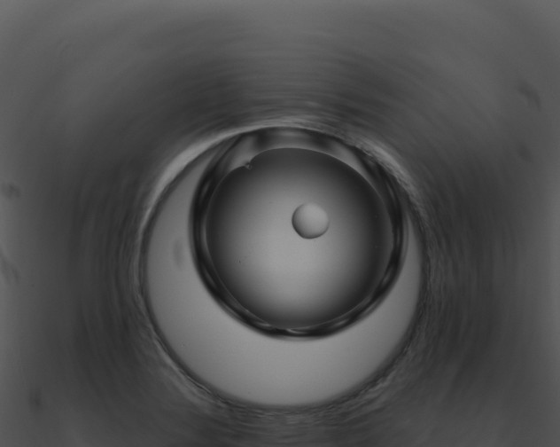 X0000091001324200708021552