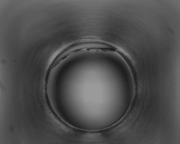 X0000091001325200708021552