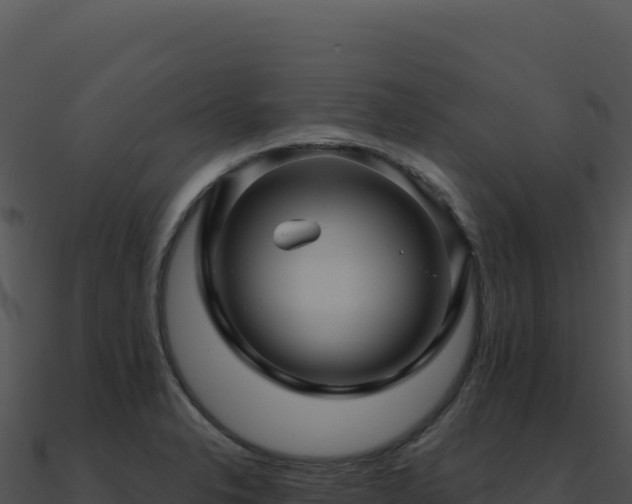 X0000091001326200708021552
