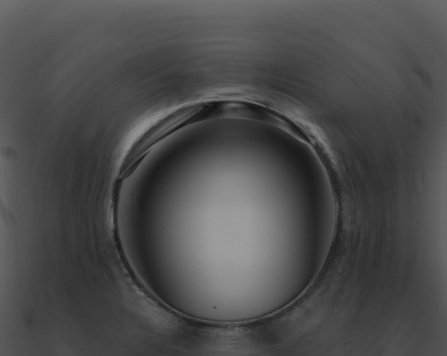 X0000091001328200708021552