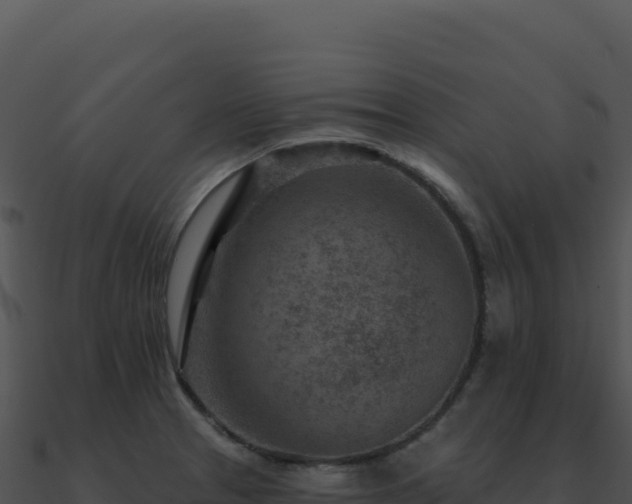 X0000091001329200708021552