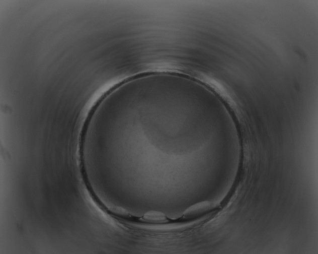 X0000091001331200708021552