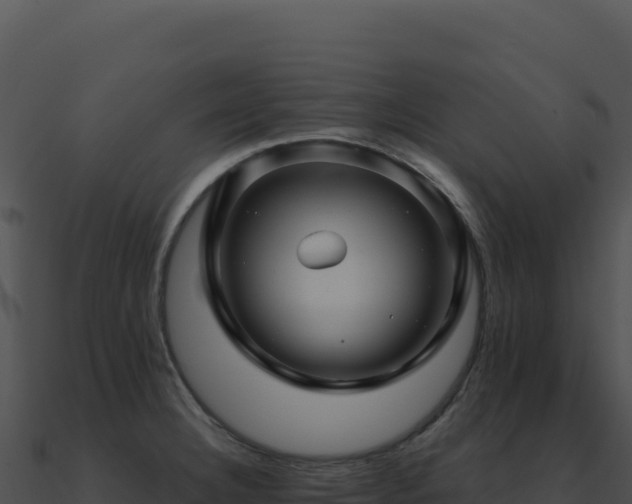 X0000091001332200708021552