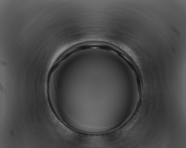 X0000091001334200708021552