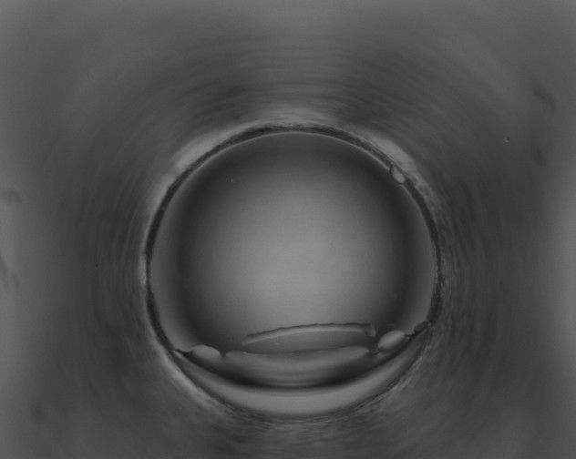X0000091001335200708021552