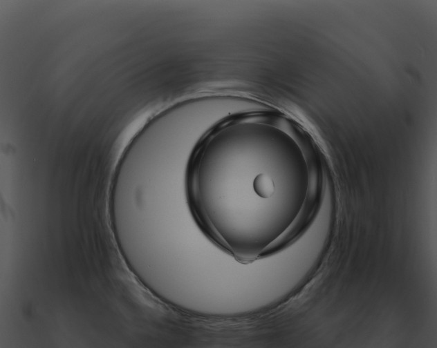X0000091001336200708021552