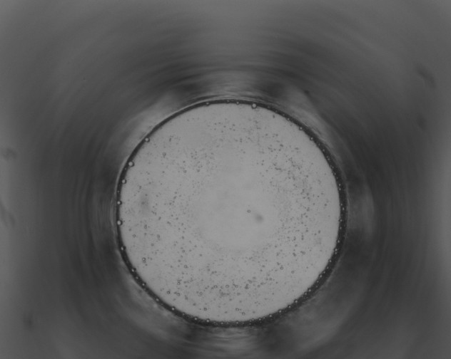 X0000091001338200708021552