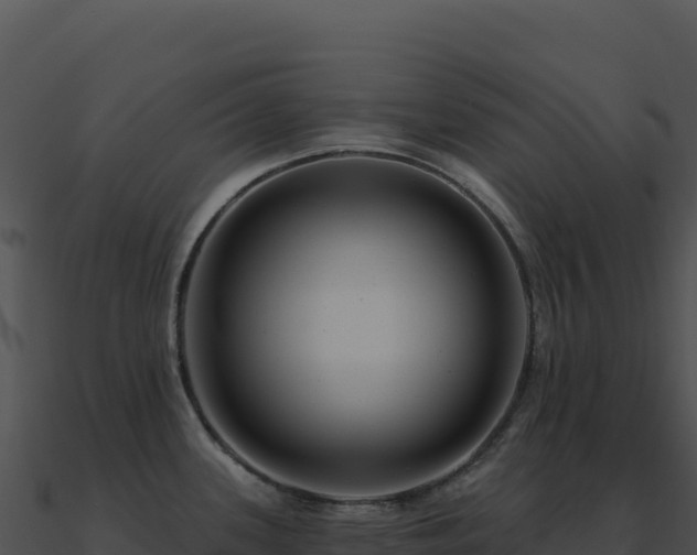 X0000091001339200708021552