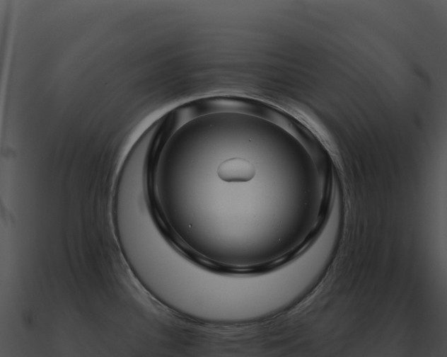 X0000091001340200708021552