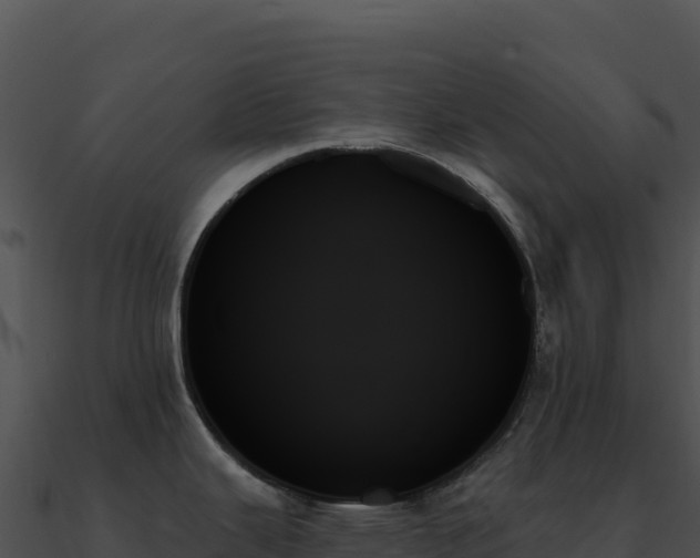 X0000091001343200708021552