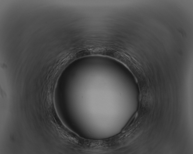 X0000091001345200708021552